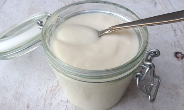 Falsches „Joghurt” aus Haferschrot (glutenfrei, milchfrei,  ohne Zuckerzusatz, sojafrei, vegan)