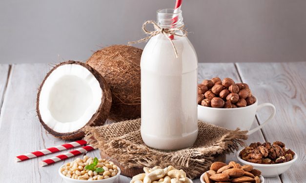 Cashew-Kokos Milch – pflanzliche Milch (eifrei, glutenfrei, milchfrei, sojafrei, vegan)